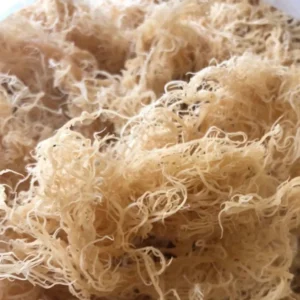 St. Lucia Wildcrafted Sea Moss