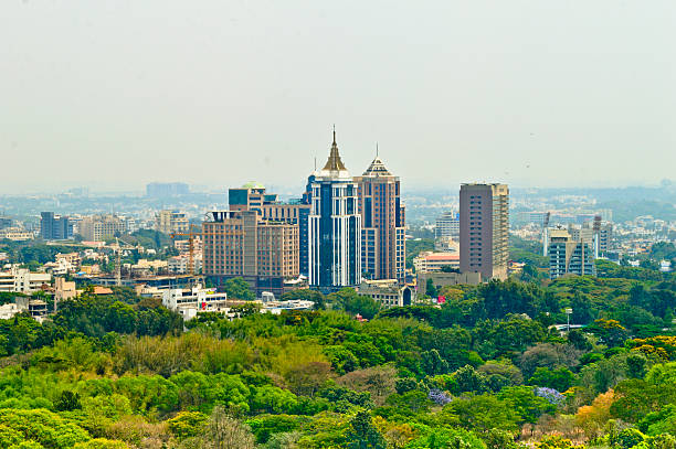 Section One Image
